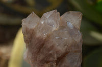 Natural Smokey Quartz Clusters x 3 From Luena, Congo