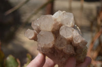 Natural Smokey Quartz Clusters x 3 From Luena, Congo