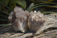 Natural Smokey Quartz Clusters x 3 From Luena, Congo