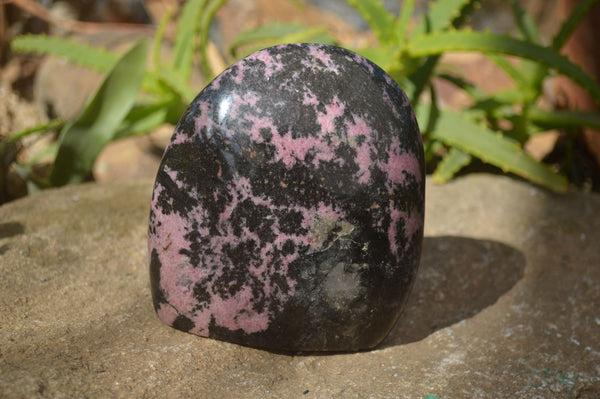 Polished Rhodonite Standing Free Form x 1 From Ambindavato, Madagascar