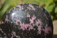 Polished Rhodonite Standing Free Form x 1 From Ambindavato, Madagascar