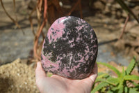 Polished Rhodonite Standing Free Form x 1 From Ambindavato, Madagascar