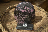 Polished Rhodonite Standing Free Form x 1 From Ambindavato, Madagascar