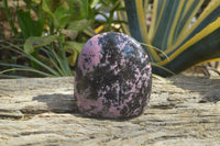 Polished Rhodonite Standing Free Form x 1 From Ambindavato, Madagascar