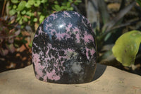 Polished Rhodonite Standing Free Form x 1 From Ambindavato, Madagascar