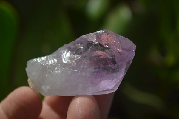 Natural Jacaranda Amethyst Crystals x 35 From Mumbwa, Zambia