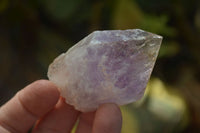 Natural Jacaranda Amethyst Crystals x 35 From Mumbwa, Zambia