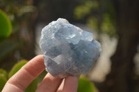 Natural Celestite Specimens x 6 From Sakoany, Madagascar