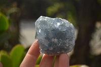 Natural Celestite Specimens x 6 From Sakoany, Madagascar