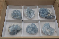 Natural Celestite Specimens x 6 From Sakoany, Madagascar