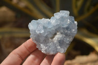 Natural Celestite Specimens x 6 From Sakoany, Madagascar