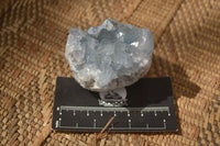 Natural Celestite Specimens x 6 From Sakoany, Madagascar