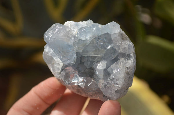 Natural Celestite Specimens x 6 From Sakoany, Madagascar