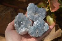 Natural Celestite Specimens x 6 From Sakoany, Madagascar