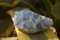 Natural Celestite Specimens x 6 From Sakoany, Madagascar