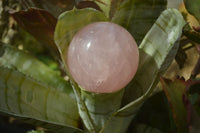 Polished Star Rose Quartz Spheres x 2 From Ambatondrazaka, Madagascar