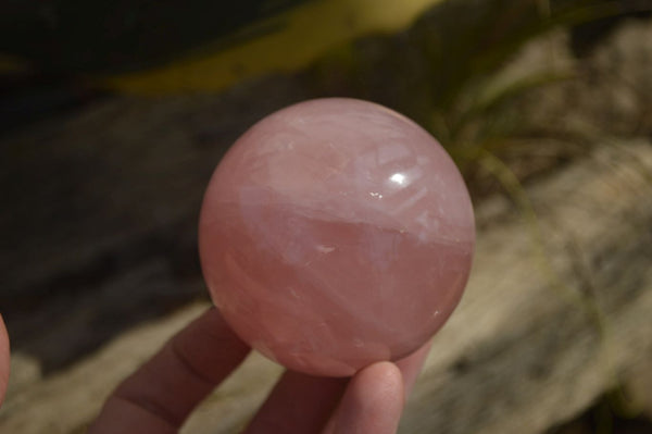 Polished Star Rose Quartz Spheres x 2 From Ambatondrazaka, Madagascar