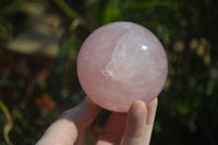 Polished Star Rose Quartz Spheres x 2 From Ambatondrazaka, Madagascar