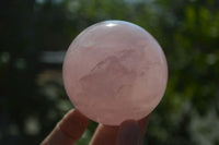 Polished Star Rose Quartz Spheres x 2 From Ambatondrazaka, Madagascar