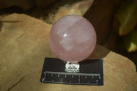 Polished Star Rose Quartz Spheres x 2 From Ambatondrazaka, Madagascar