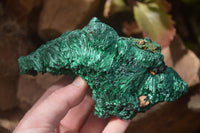 Natural Silky Malachite Specimens x 2 From Kasompe, Congo