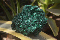 Natural Silky Malachite Specimens x 2 From Kasompe, Congo