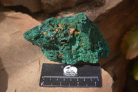 Natural Silky Malachite Specimens x 2 From Kasompe, Congo