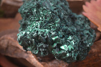 Natural Silky Malachite Specimens x 2 From Kasompe, Congo