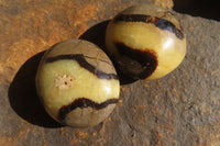 Polished Septerye Galets / Palm Stones x 12 From Mahajanga, Madagascar