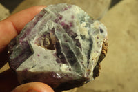 Polished On One Side Watermelon Fluorite x 12 From Uis, Namibia