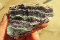 Polished On One Side Watermelon Fluorite x 12 From Uis, Namibia