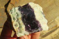 Polished On One Side Watermelon Fluorite x 12 From Uis, Namibia