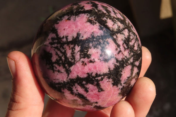 Polished Rhodonite Spheres x 4 From Madagascar