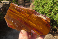 Polished On One Side Nguni Jasper Specimens x 2 From Prieska, South Africa