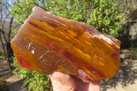 Polished On One Side Nguni Jasper Specimens x 2 From Prieska, South Africa