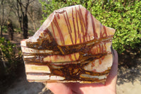 Polished On One Side Nguni Jasper Specimens x 2 From Prieska, South Africa