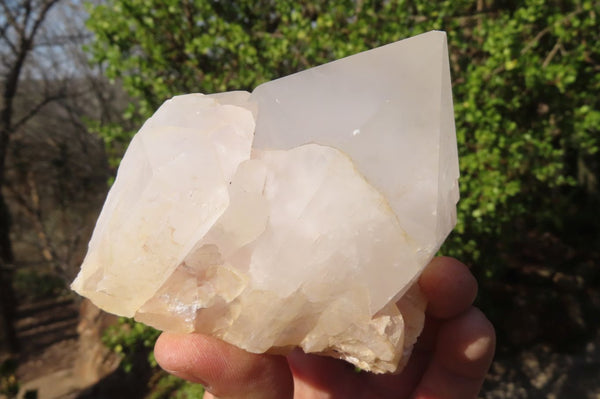 Natural Castle Quartz Clusters x 6 From Madagascar