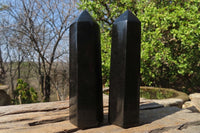 Polished Black Basalt Points x 7 From Madagascar