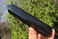 Polished Black Basalt Points x 7 From Madagascar