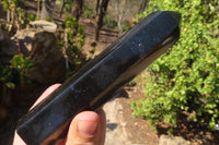 Polished Black Basalt Points x 7 From Madagascar