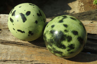 Polished Leopard Stone Spheres x 2 From Inyanga, Zimbabwe