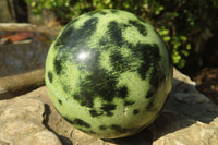 Polished Leopard Stone Spheres x 2 From Inyanga, Zimbabwe