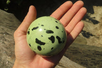 Polished Leopard Stone Spheres x 2 From Inyanga, Zimbabwe