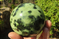 Polished Leopard Stone Spheres x 2 From Inyanga, Zimbabwe