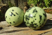 Polished Leopard Stone Spheres x 2 From Inyanga, Zimbabwe