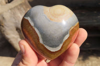 Polished Polychrome Jasper Hearts x 6 From Madagascar