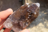 Natural Smokey Quartz Crystals x 12 From Zomba, Malawi