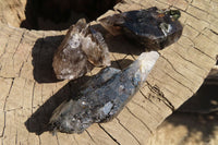 Natural Smokey Quartz Crystals x 12 From Zomba, Malawi