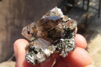 Natural Smokey Quartz Crystals x 12 From Zomba, Malawi