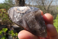 Natural Smokey Quartz Crystals x 12 From Zomba, Malawi